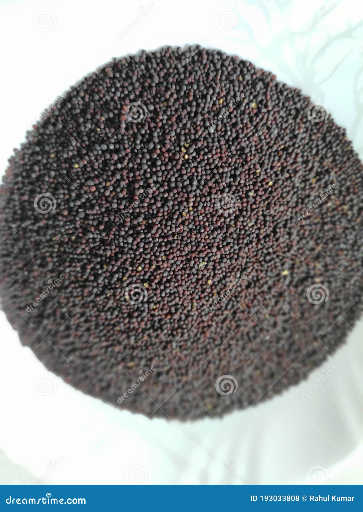Indian Natural Brown Mustard Seeds. Stock Photo Image of seeds