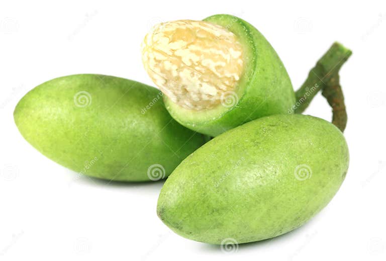 Indian olive stock image. Image of fruit, plant, copy 27150963