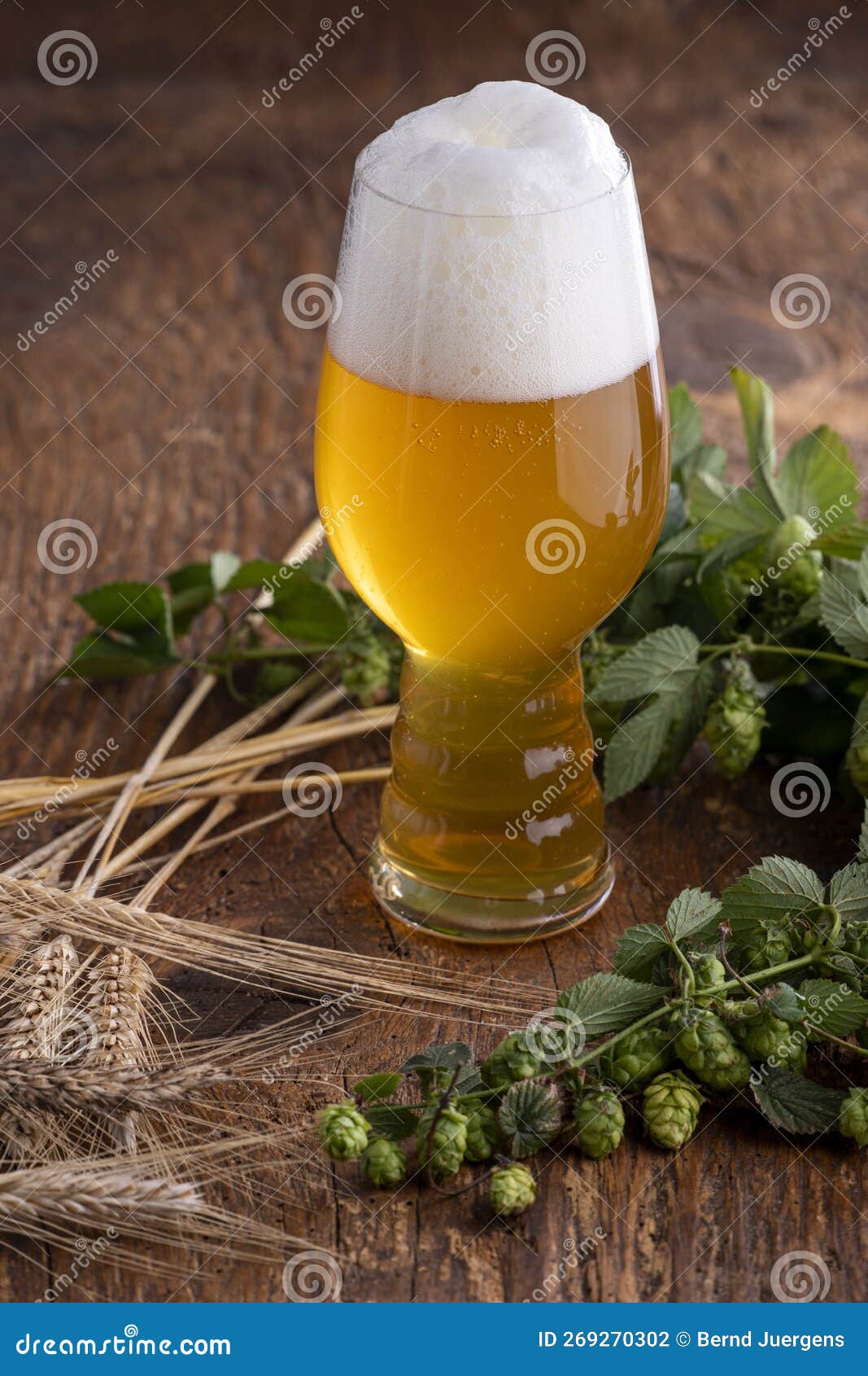Indian pale ale stock photo. Image of green, field, table 269270302