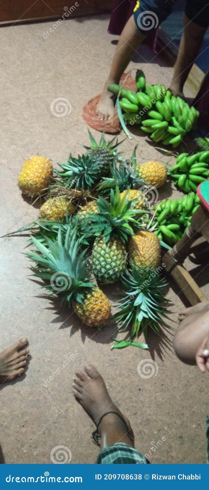 Indian pineapple fruit stock photo. Image of christmas 209708638