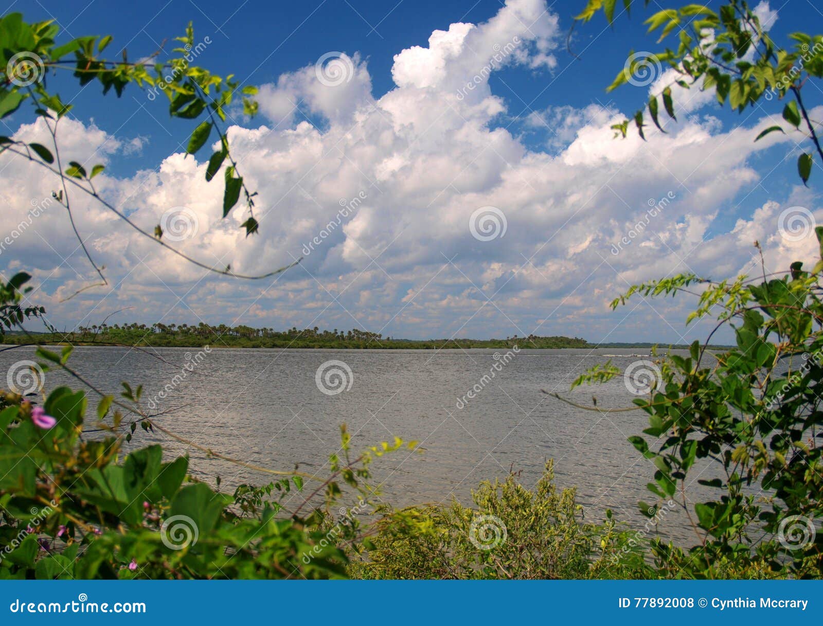 indian river lagoon