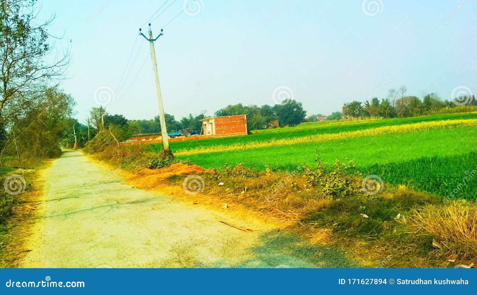 Indian Road and House Field Picture Stock Photo Image of indian, field 171627894