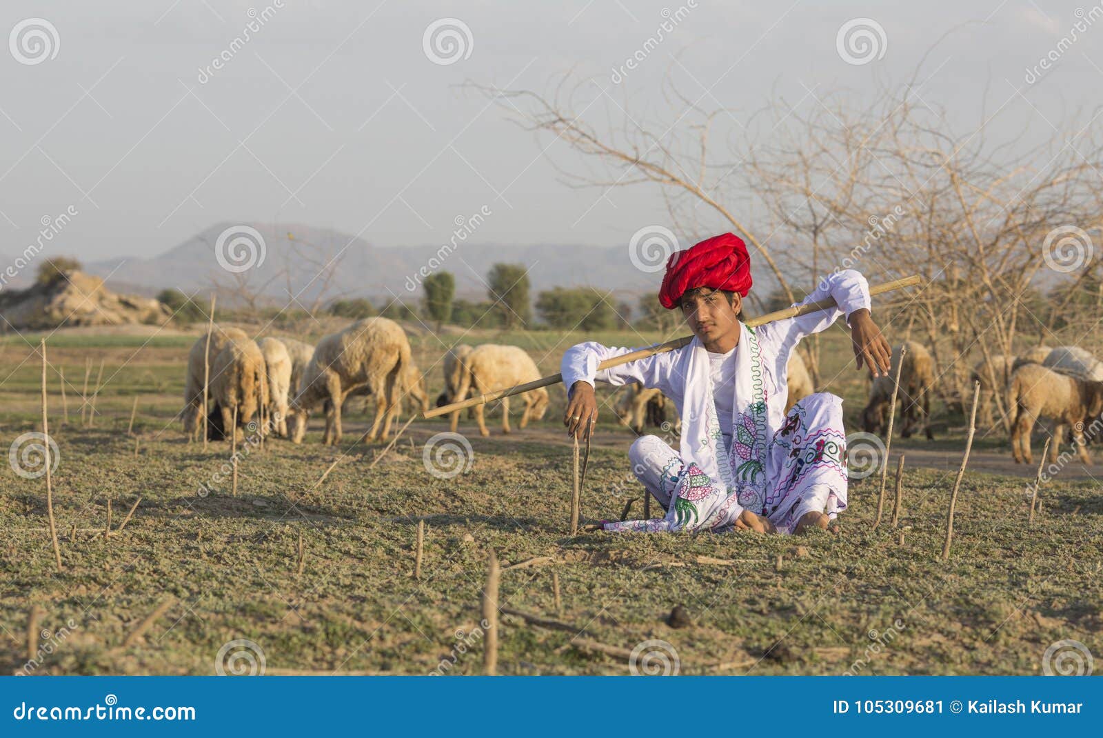 Image result for indian shepherd boy