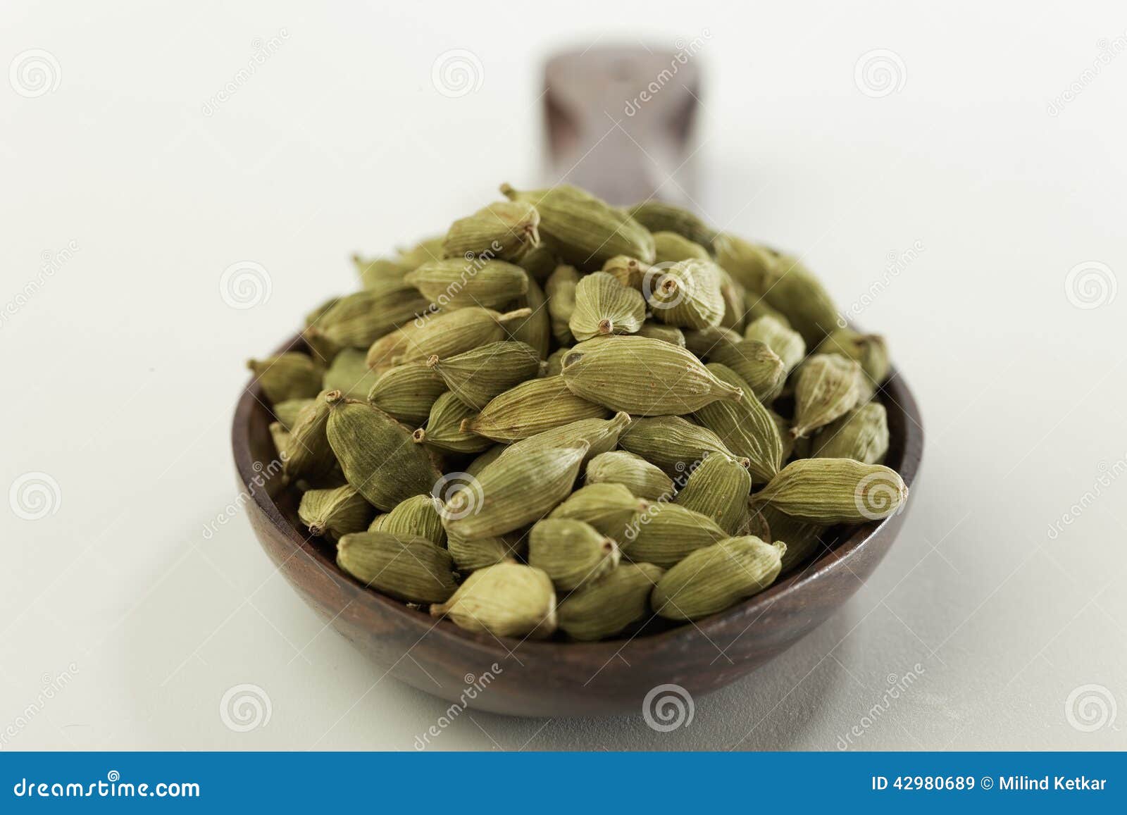 Indian spicesCardamom. stock image. Image of ingredient 42980689