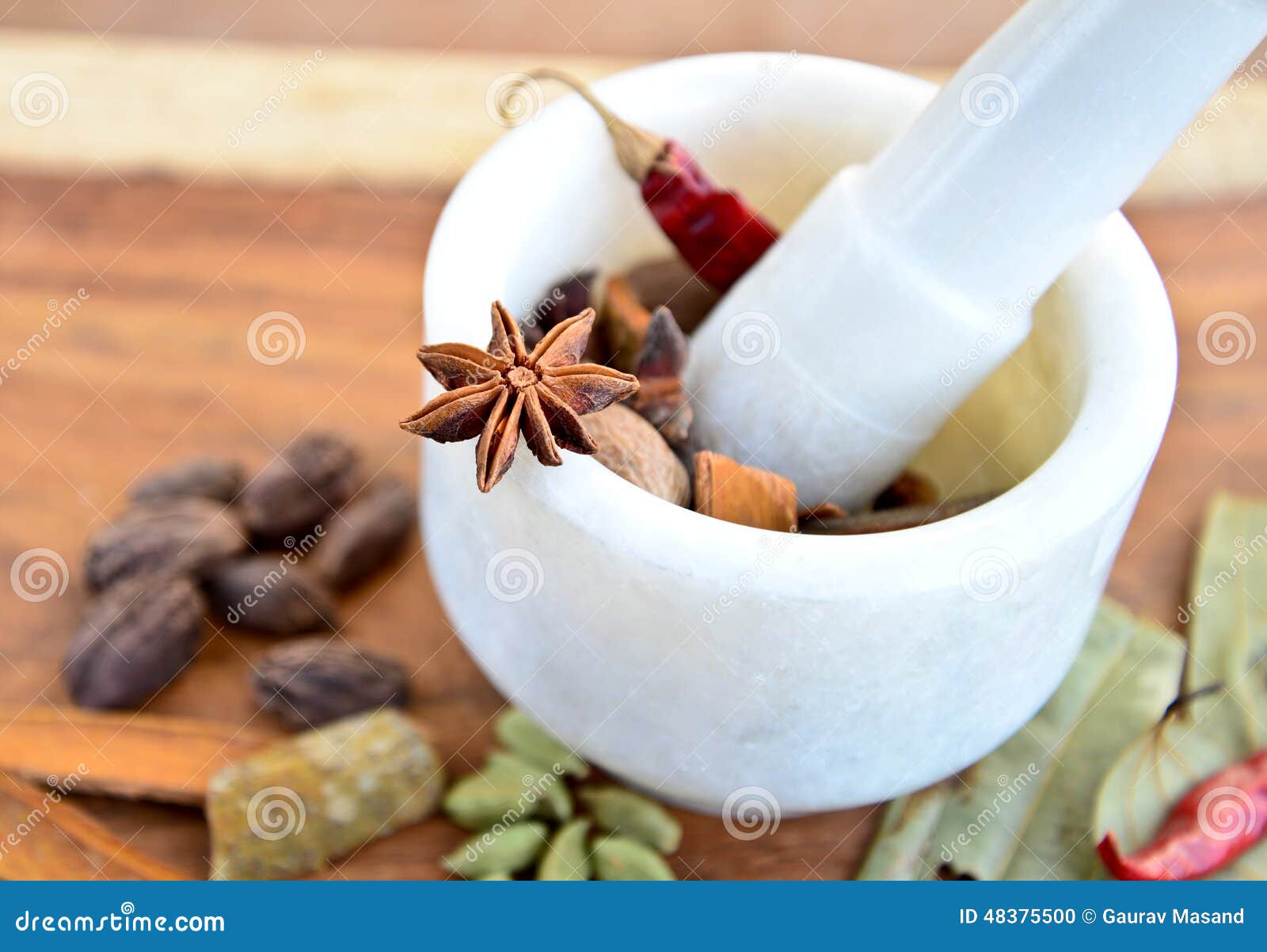 Indian Spicesin Mortar Pestle Stock Photo Image of food, close 48375500