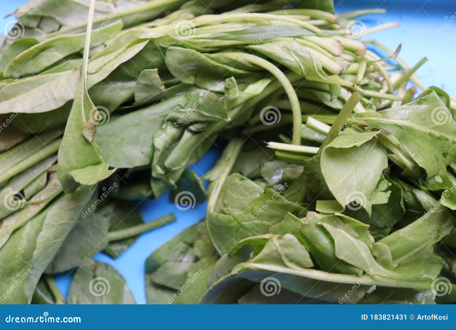 Indian Spinach Leaves Served in Traditional Bowl Stock Image - Image of
