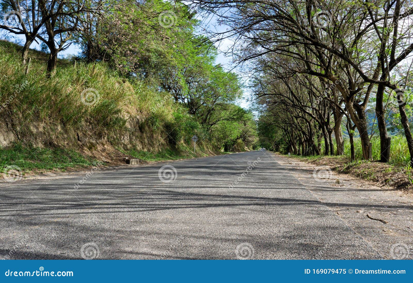 Indian Street Road Side Naturs Image Stock Image - Image of naturs, side:  169079475