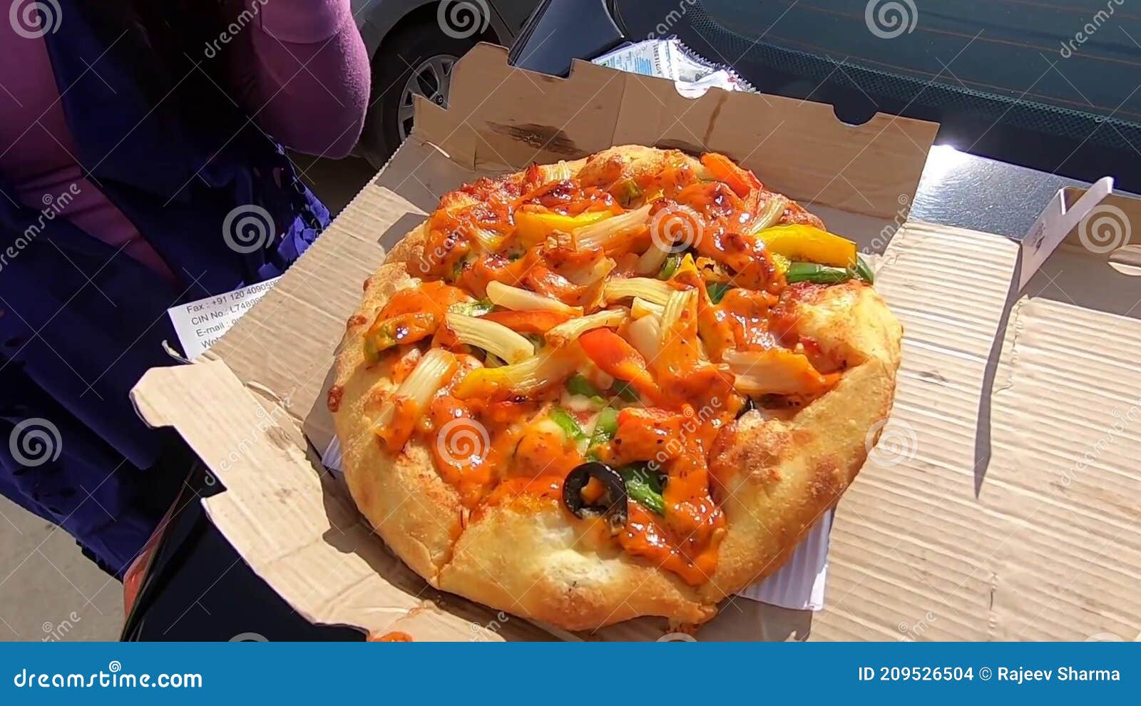 Indian Traditional Street Food, Indian Street Food and Desserts. Stock