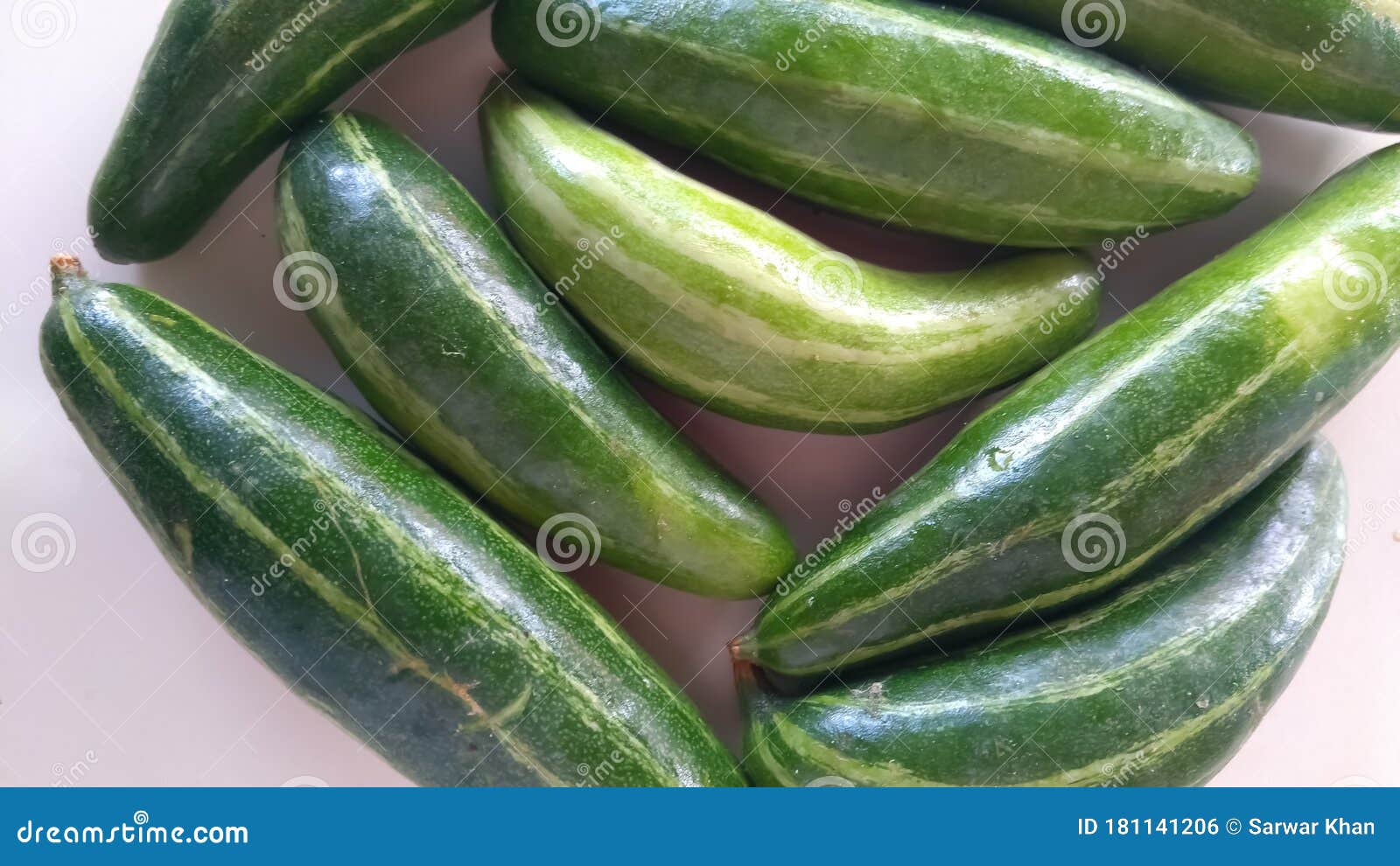 Indian Vegetable Green Pointed Gourd Stock Photo Image of gourd
