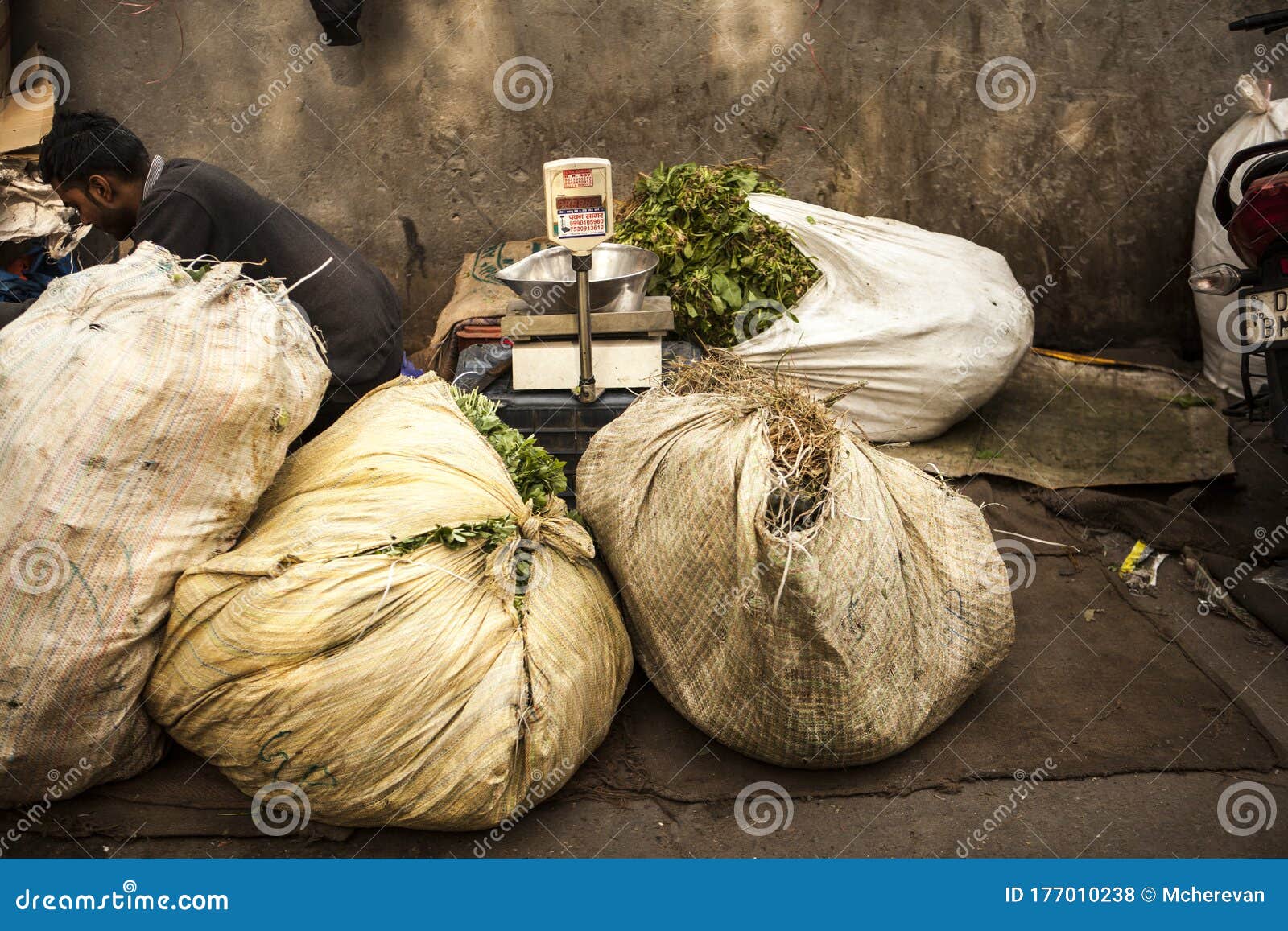 Indian Vegetable and Herb Trader at Grocery Market Editorial Stock Photo Image of fresh