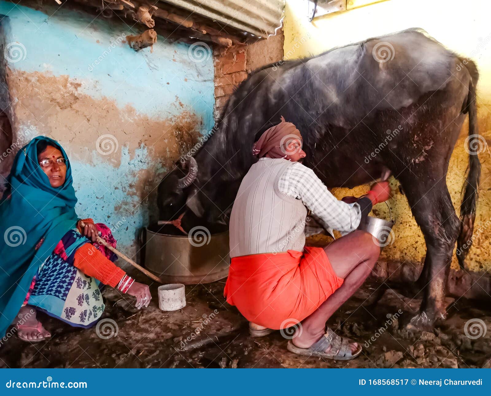 Men Milking Women