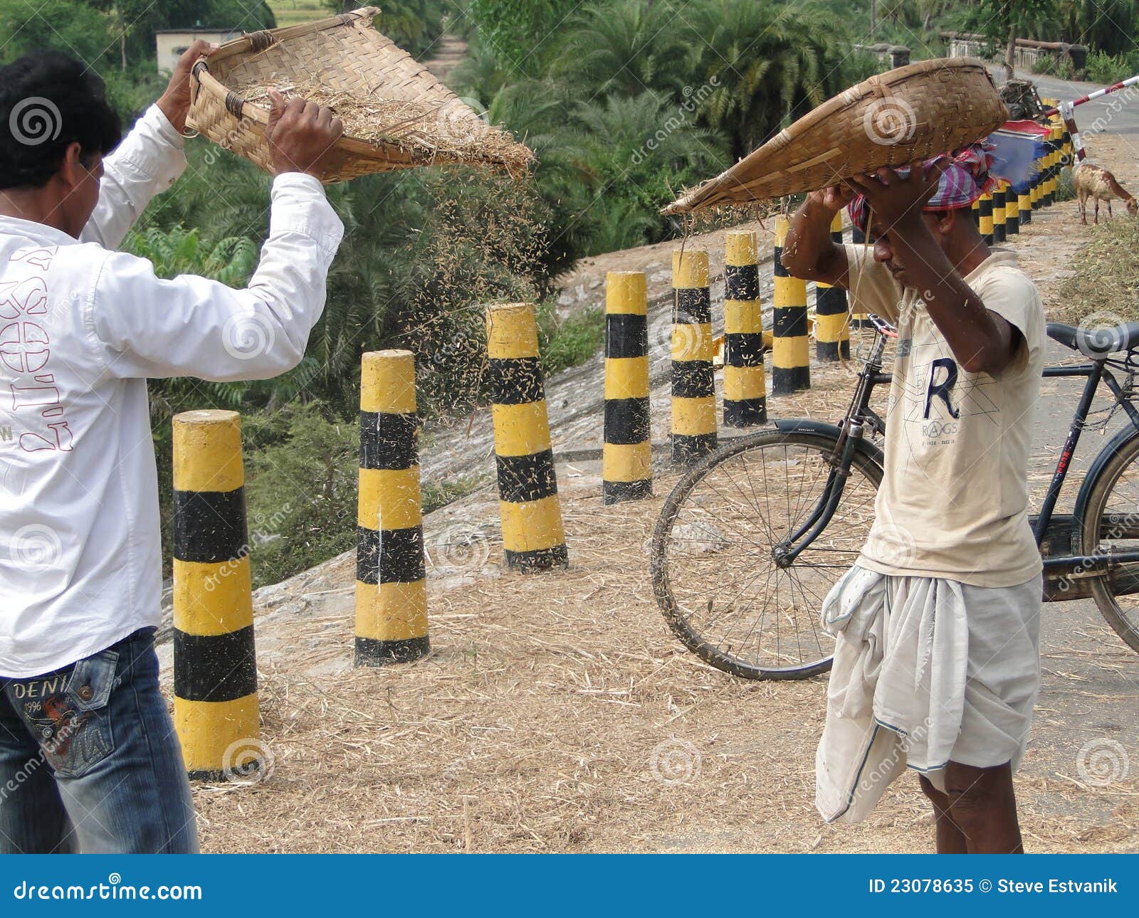Indian Villagers Thresh Their Grain Editorial Image Image of natural