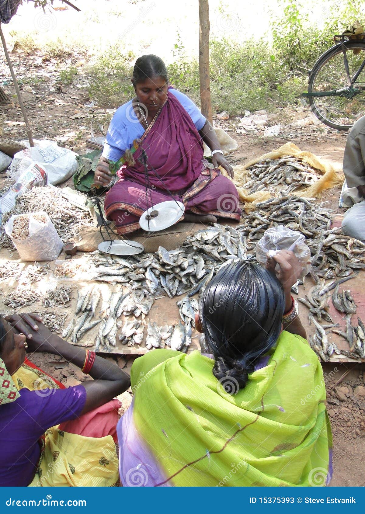 Indian Woman Sells Dried Fish Editorial Stock Photo Image of woman