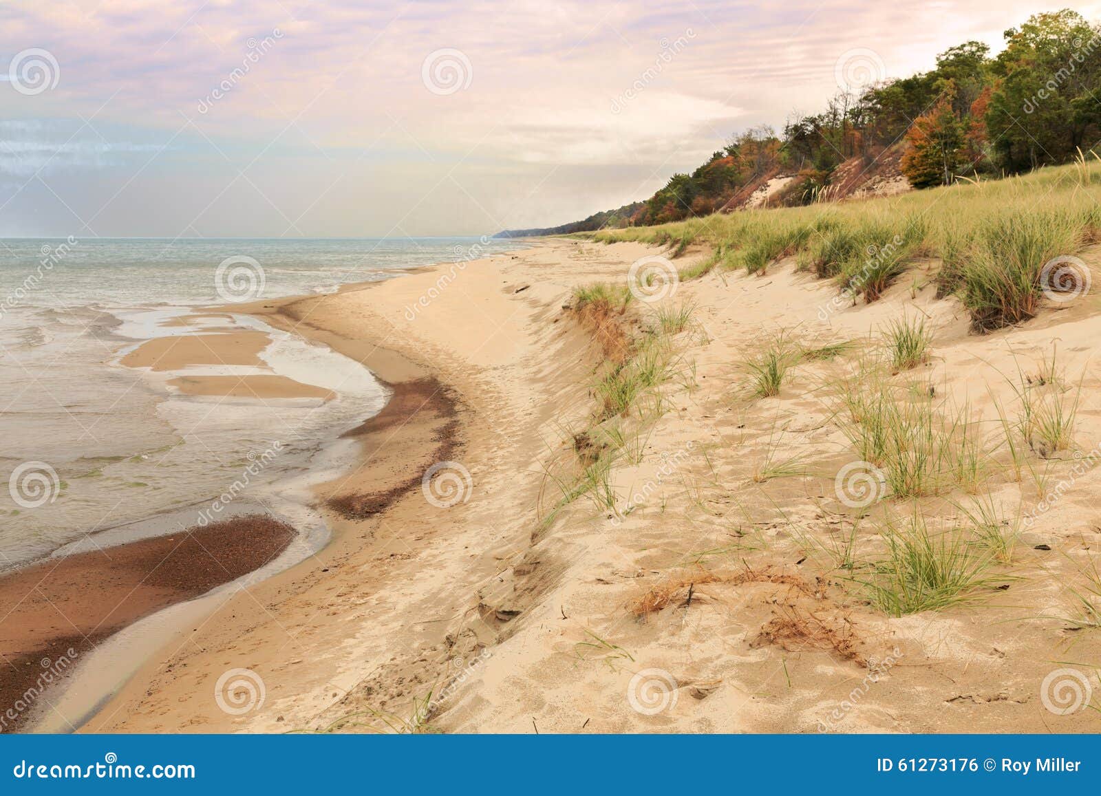 indiana dunes in the fall