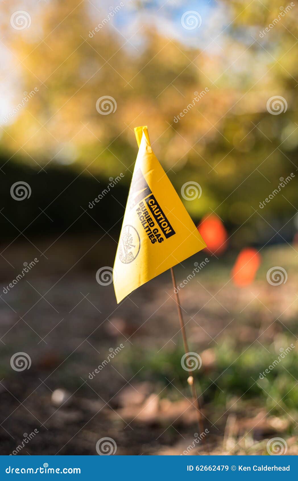 Linea Sottile Ben-elaborata Griglia 2x Delle Icone 30 Di Vettore Perfetto Del Pixel Di Giorno Di Americana Per I Grafici Ed Apps Image150560747 - Foto 8