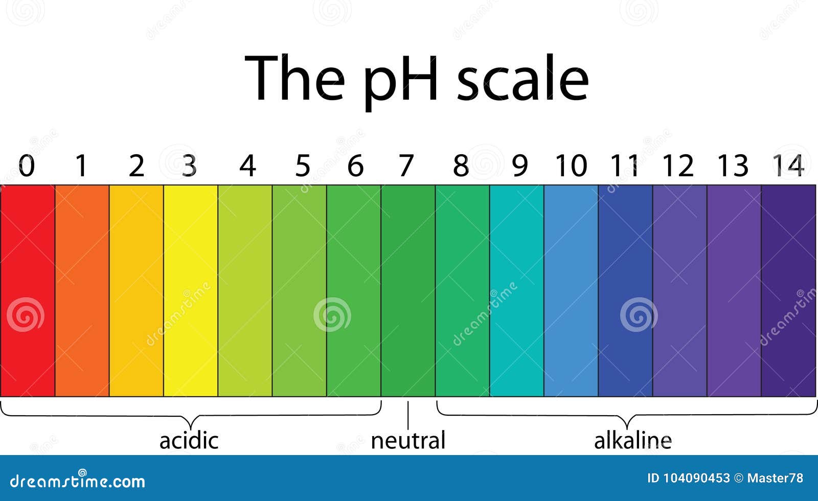 PH Scale. Litmus Paper Color Chart. Vector Illustration | CartoonDealer