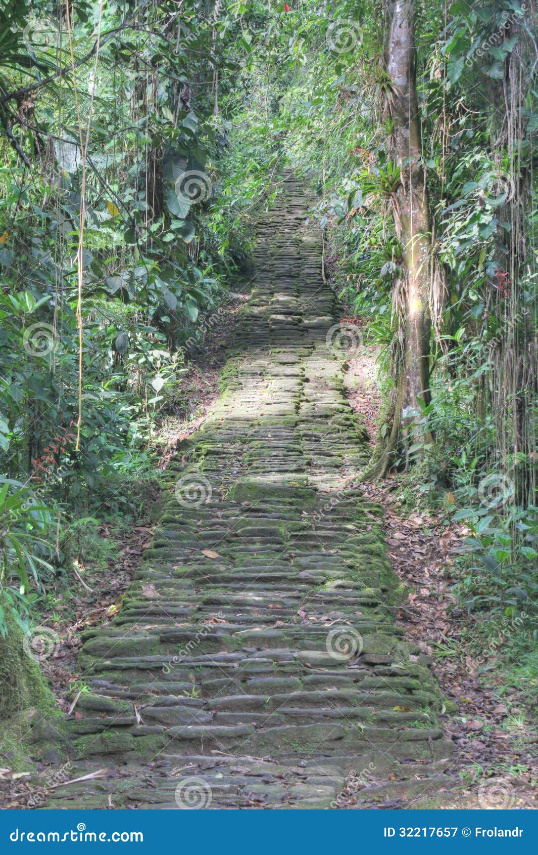 indigenous stone stairs in ciudad perdida archeological site