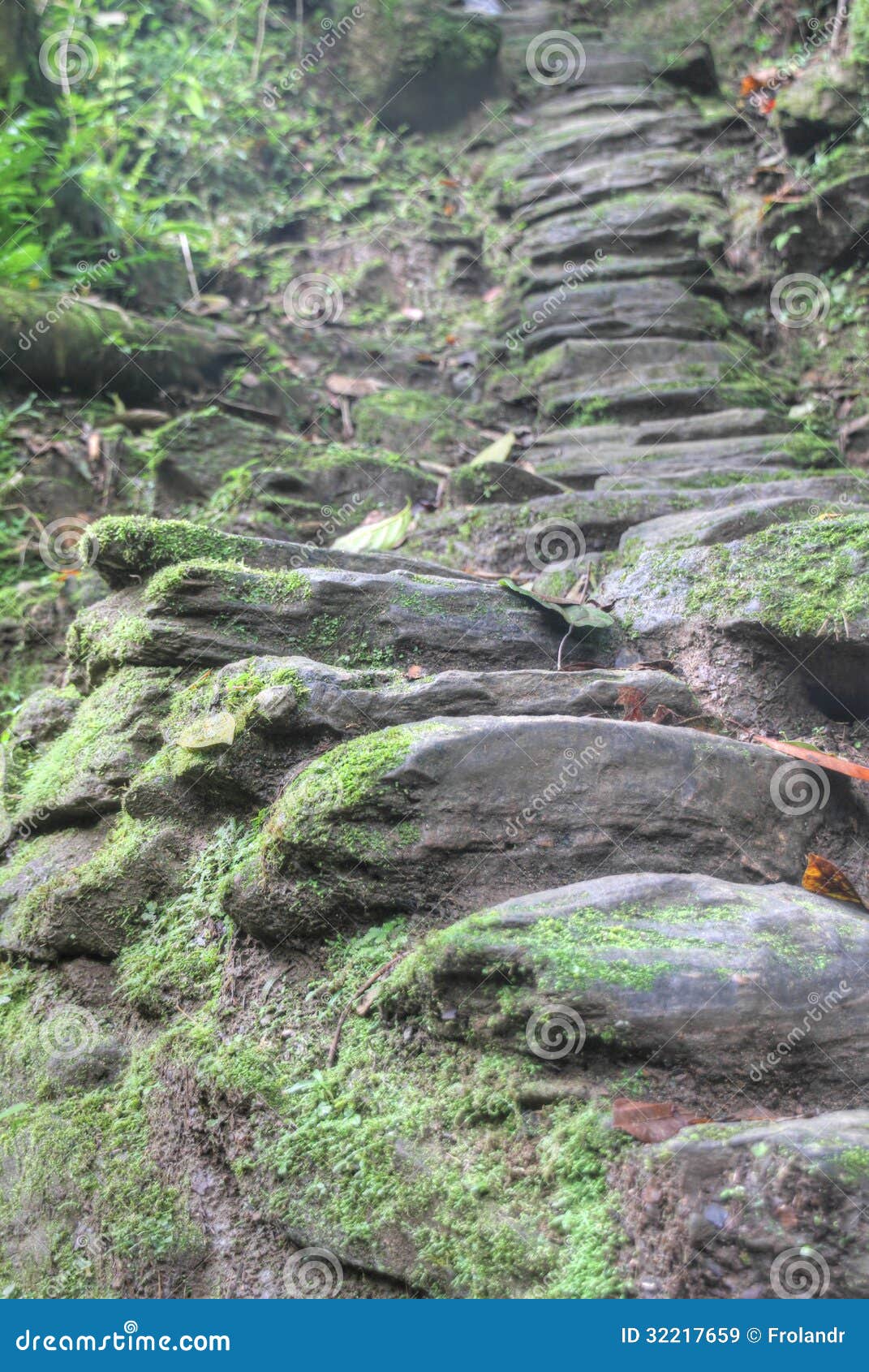 indigenous stone stairs to ciudad perdida archeological site