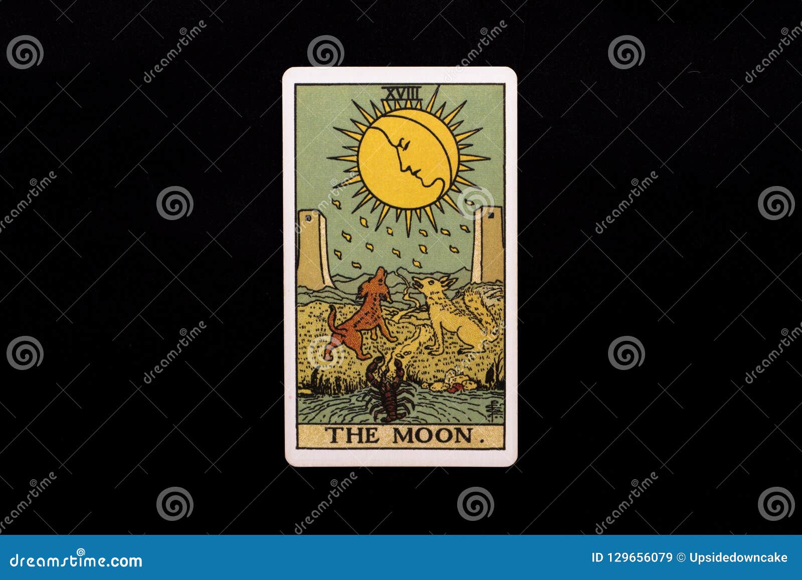 an individual major arcana tarot card  on black background. the moon.