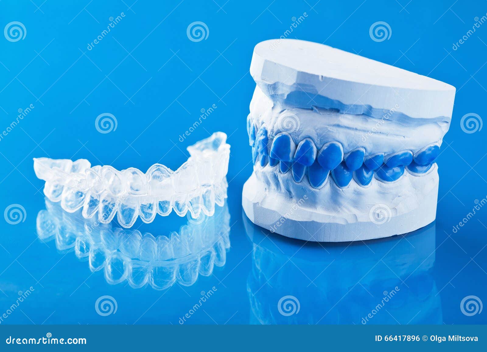 Individual Tooth Tray for Whitening and Mold Stock Photo Image of