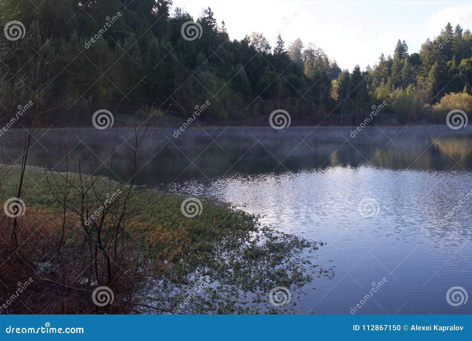 Individuato lungo il fiume russo, il parco regionale di lungofiume è appena minuti da Windsor e da Healdsburg del centro e circondati dal paesaggio classico del paese di vino Sorgente california