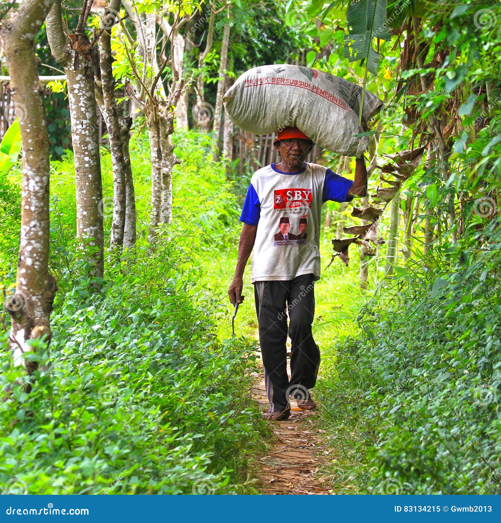 indonesian man carrying sack grass villager island madura east java indonesia cut also happens to have 83134215