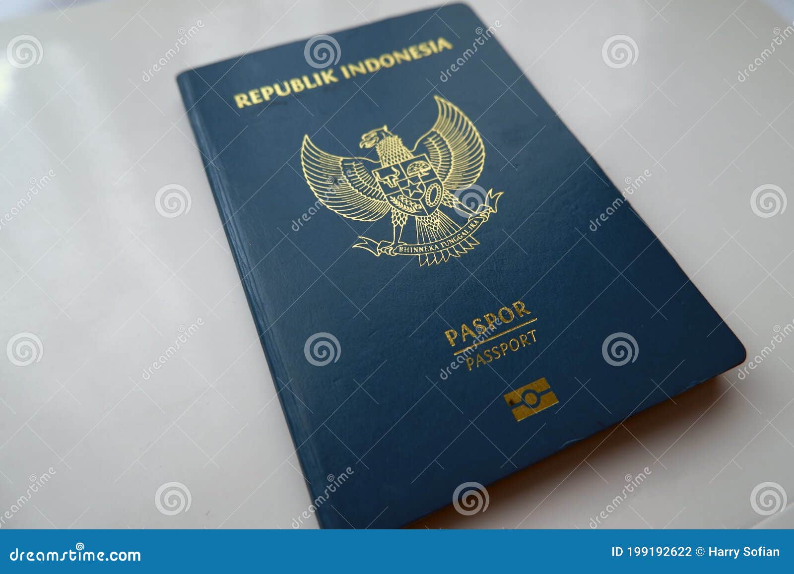 travel document ordinary passport