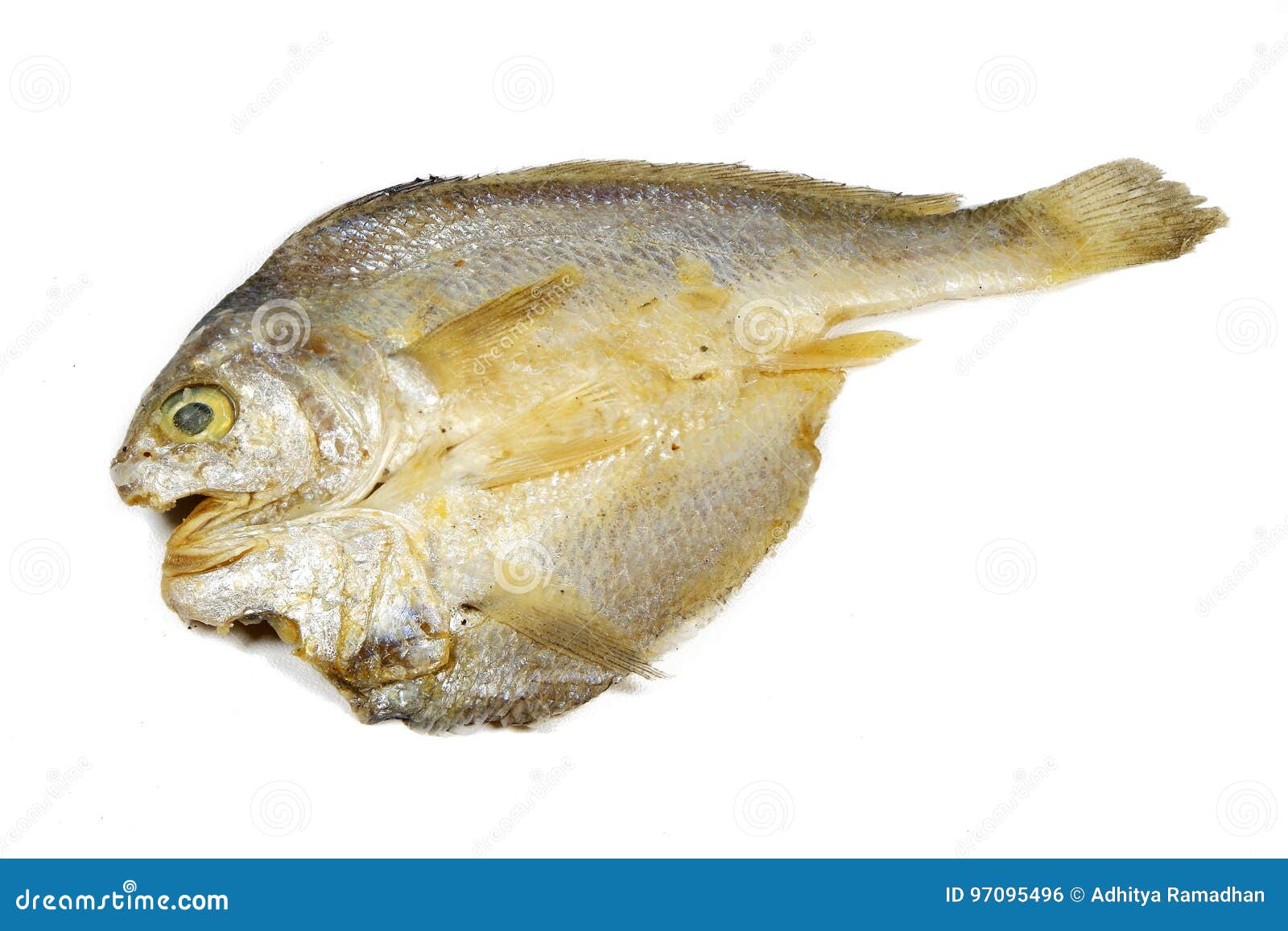 Indonesian Salted Fish stock photo. Image of sole, seafood 97095496