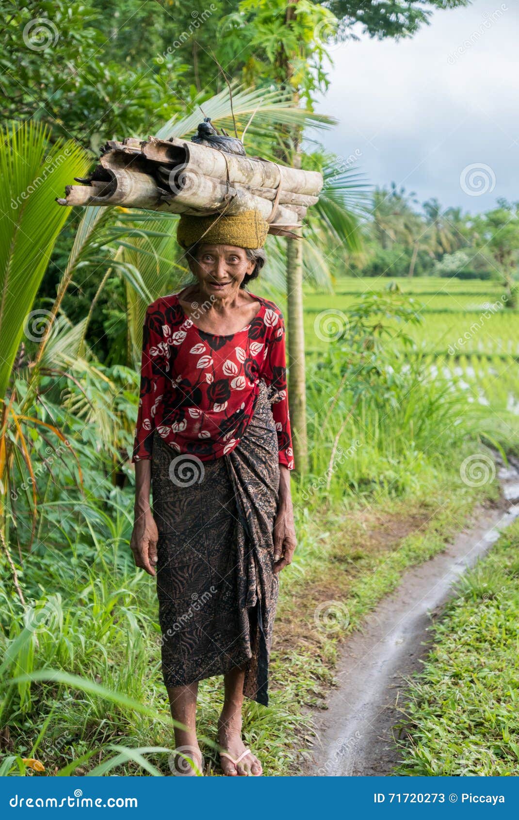 Indonesian Woman Farmer Walking Through The Rice Fields In Ubud Bali