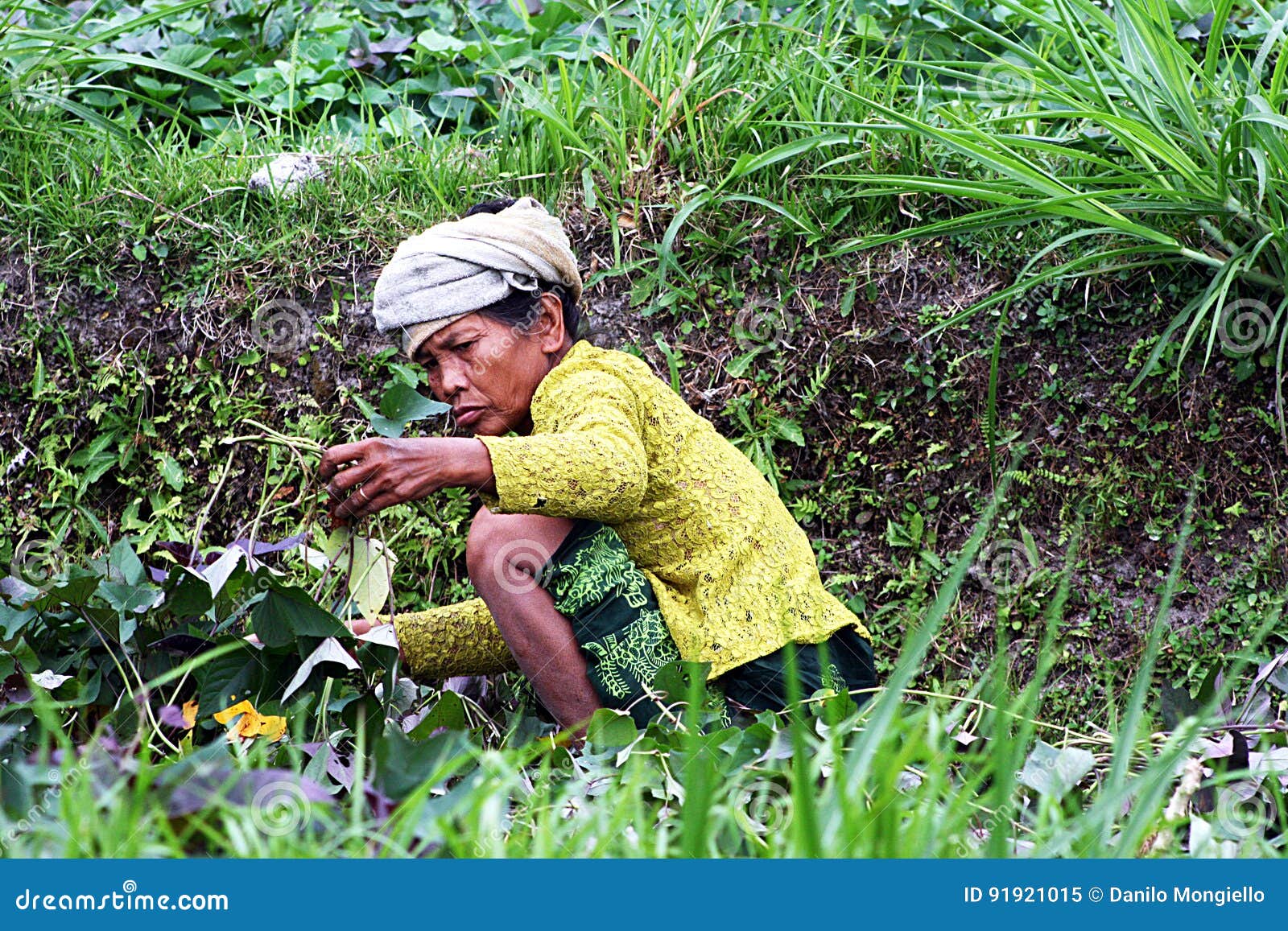 Indonesian work editorial image. Image of indonesian - 91921015