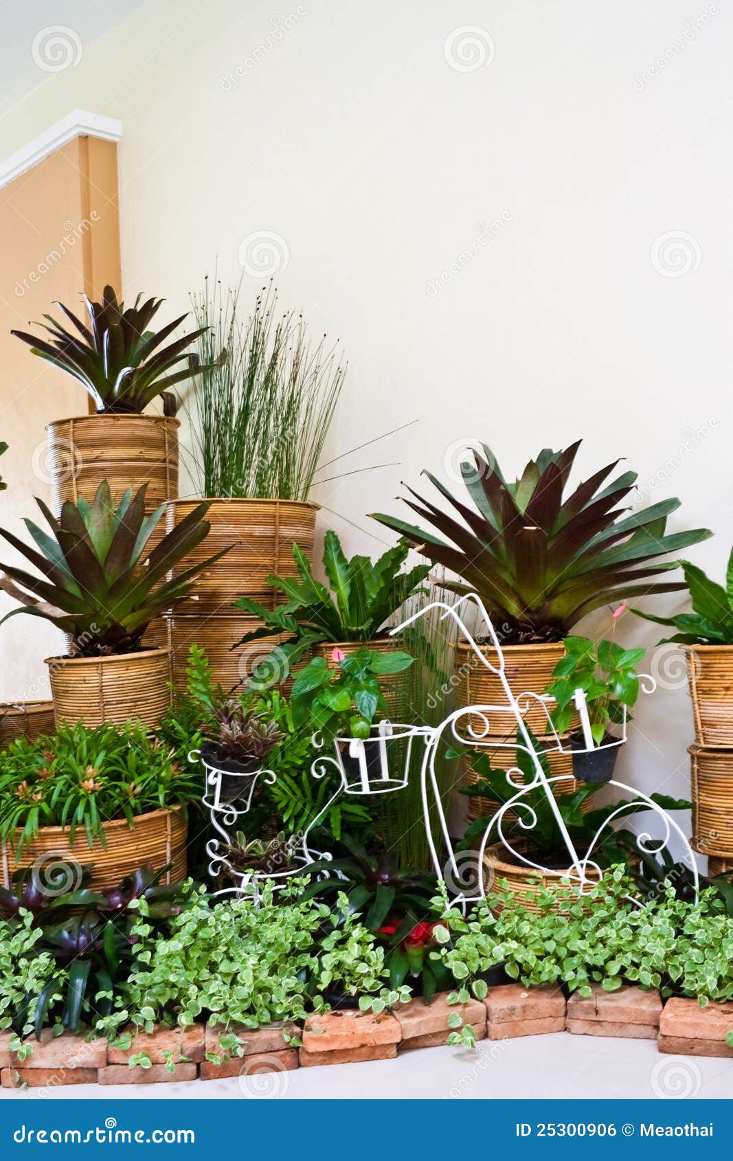 Indoor Garden For Room Corner Decoration Stock Photo 