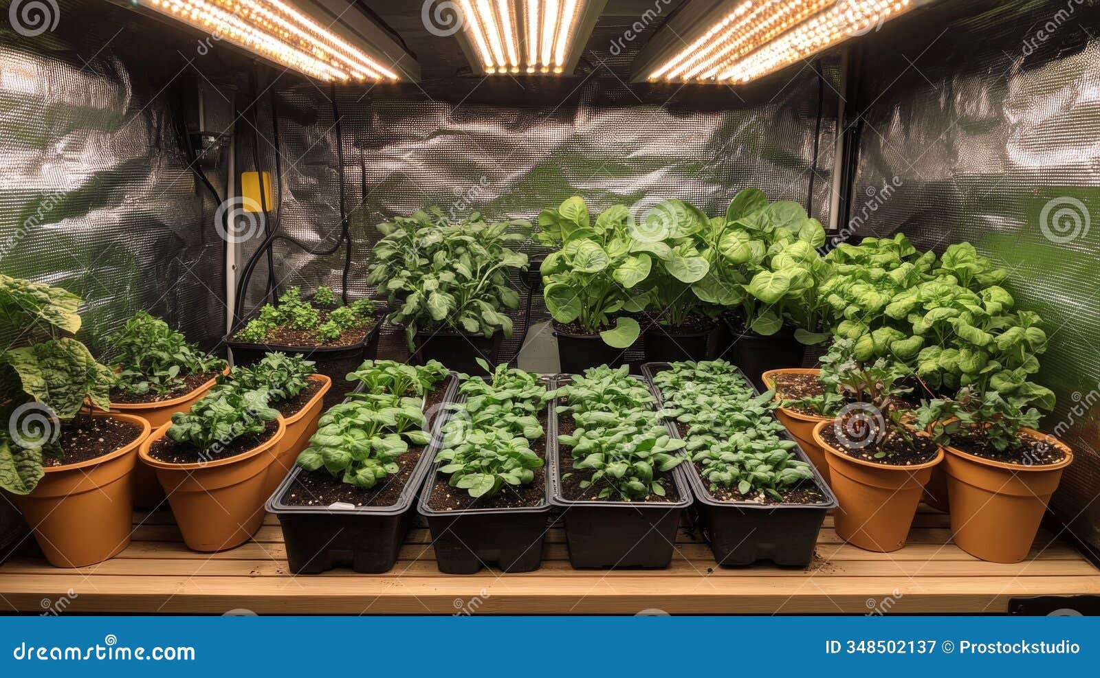 indoor gardening setup featuring various leafy greens with led grow lights in a controlled environment. generative ai