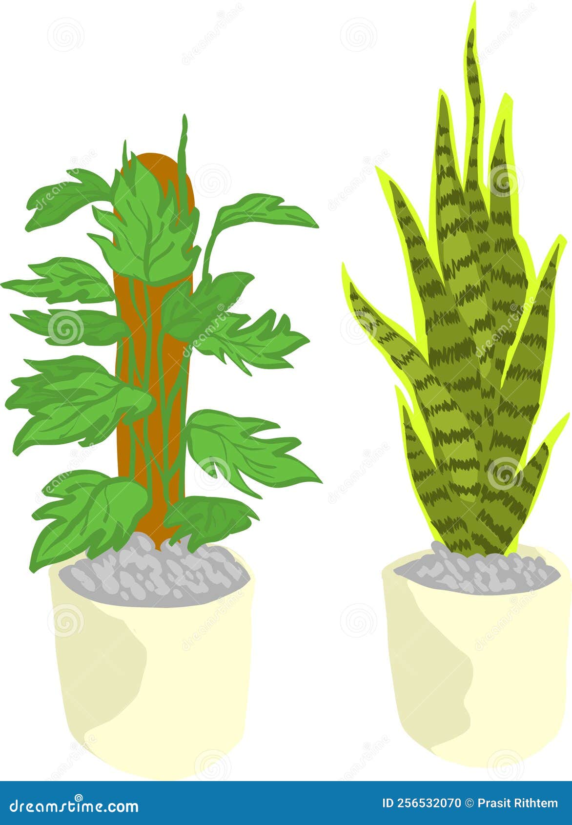 Indoor Plants Drawing with Cartoon Style Vectors Stock Vector