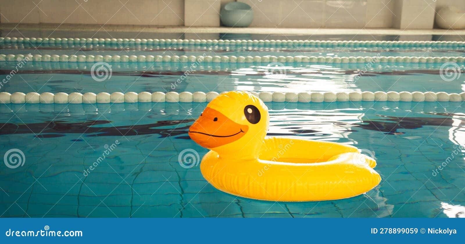 Indoor Swimming Pool with Swim Lanes and Duck Rubber Ring Stock Image