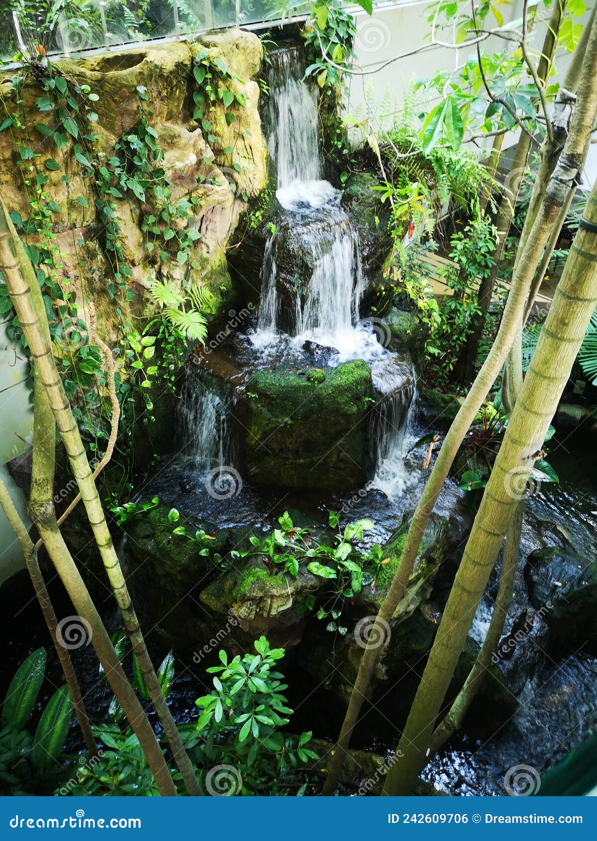 Indoor Waterfall with Bamboo Stock Photo Image of waterfall, pond