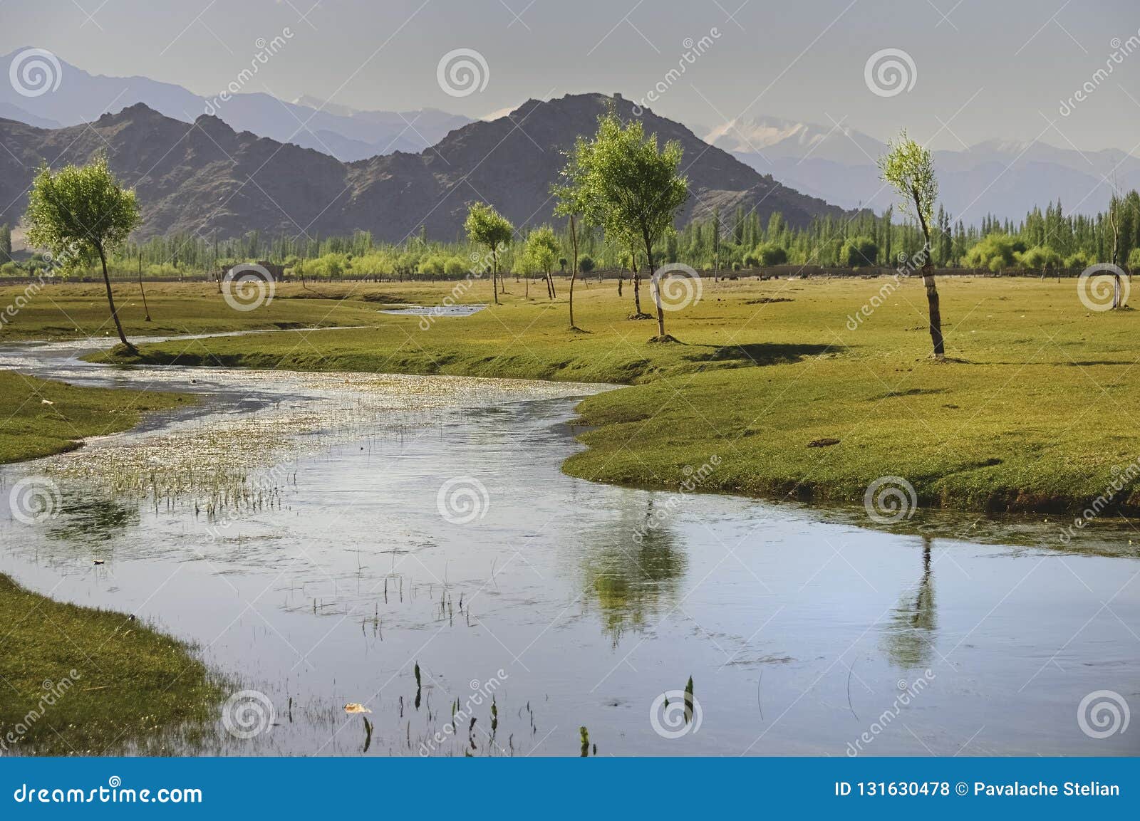 indus river flowing through plains in ladakh, india,