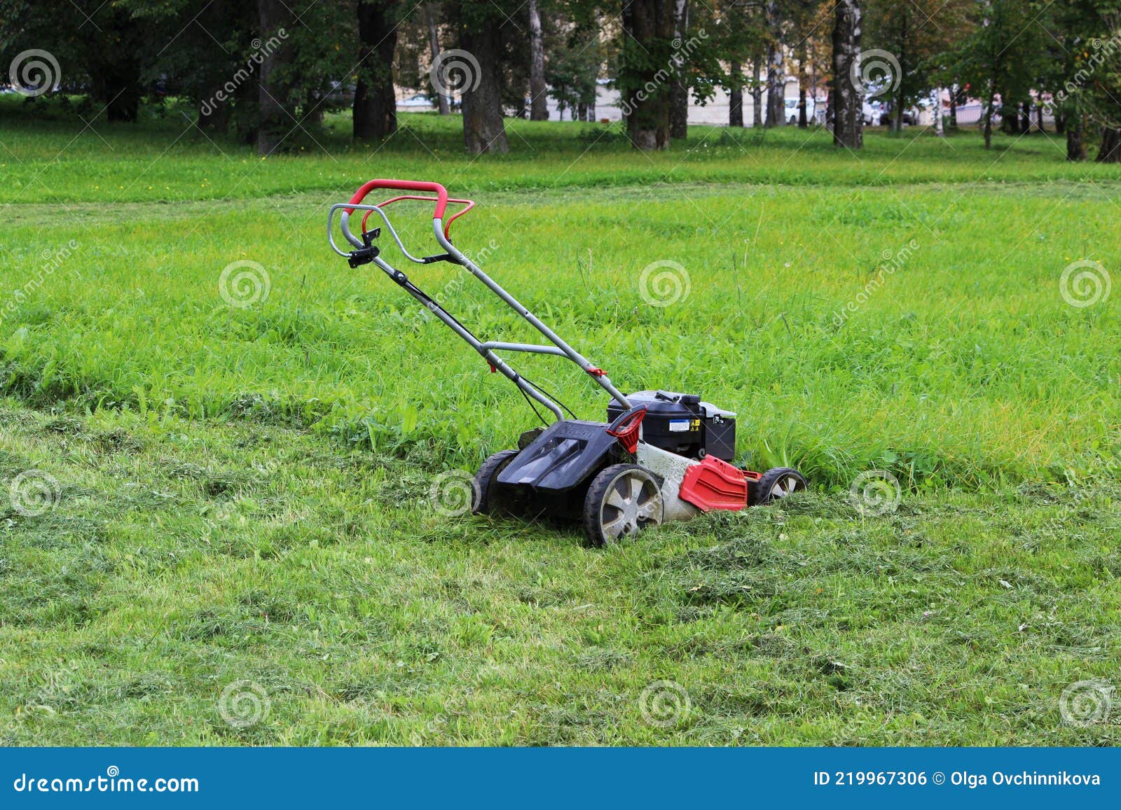 Process Of Lawn Mowing, Concept Of Mowing The Lawn, Lawnmower Cutting ...