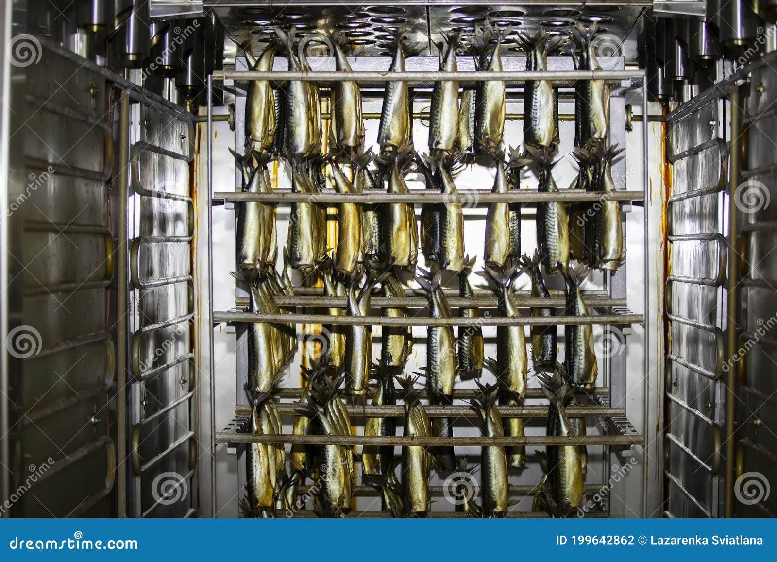 Industrial Smoking of Fish. Stock Photo Image of factory, equipment