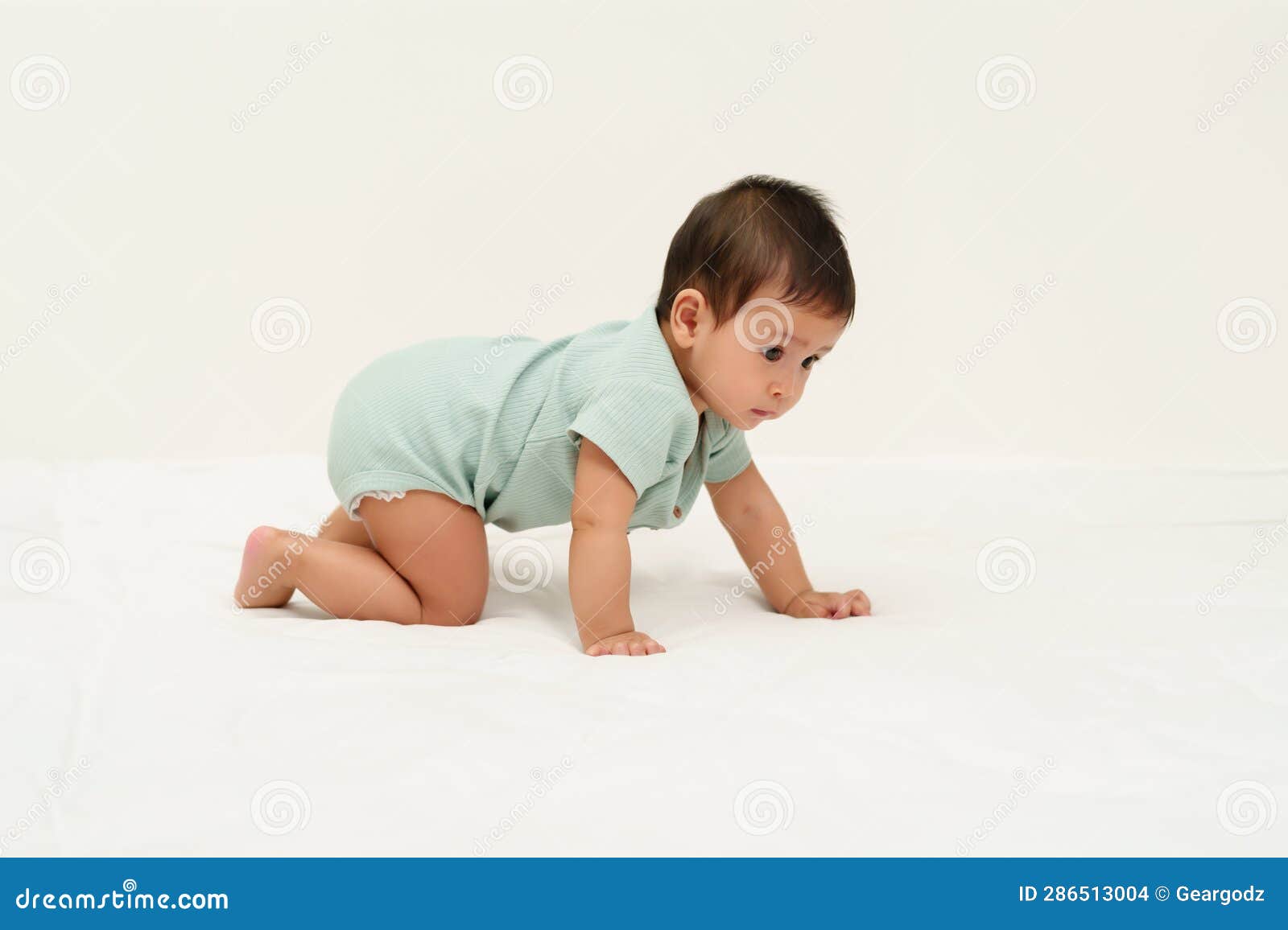 Infant Crawling on Floor Inside Baby Playpen Stock Photo Image of
