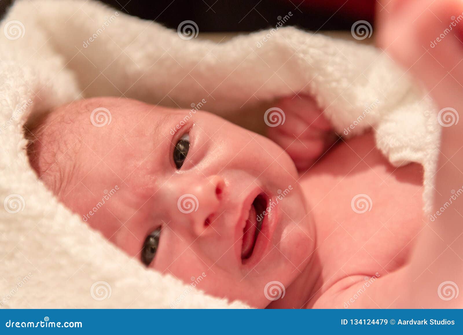 Newborn Baby Wrapped in White Blanket Stock Image - Image of body