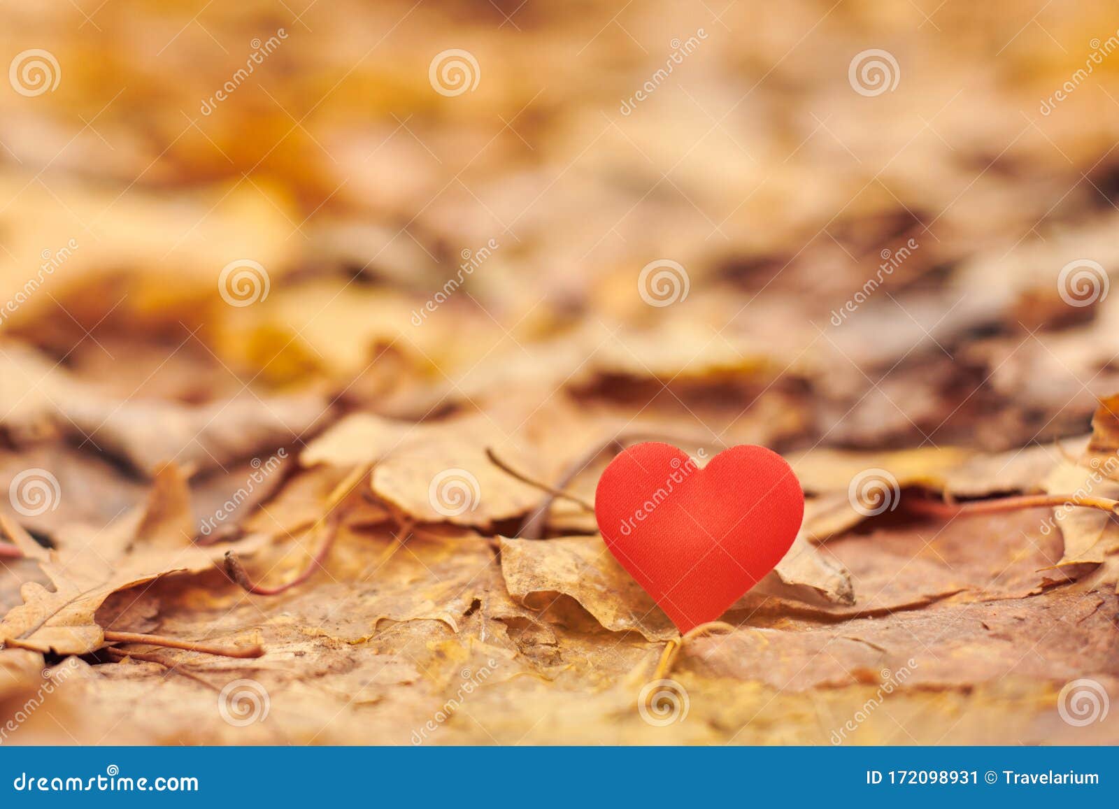 Infatuation One Sided Romantic Love Concept Stock Image Image Of Feast Lonesomeness Infatuation One Sided Romantic Love Concept Stock Image Image Of Feast Lonesomeness