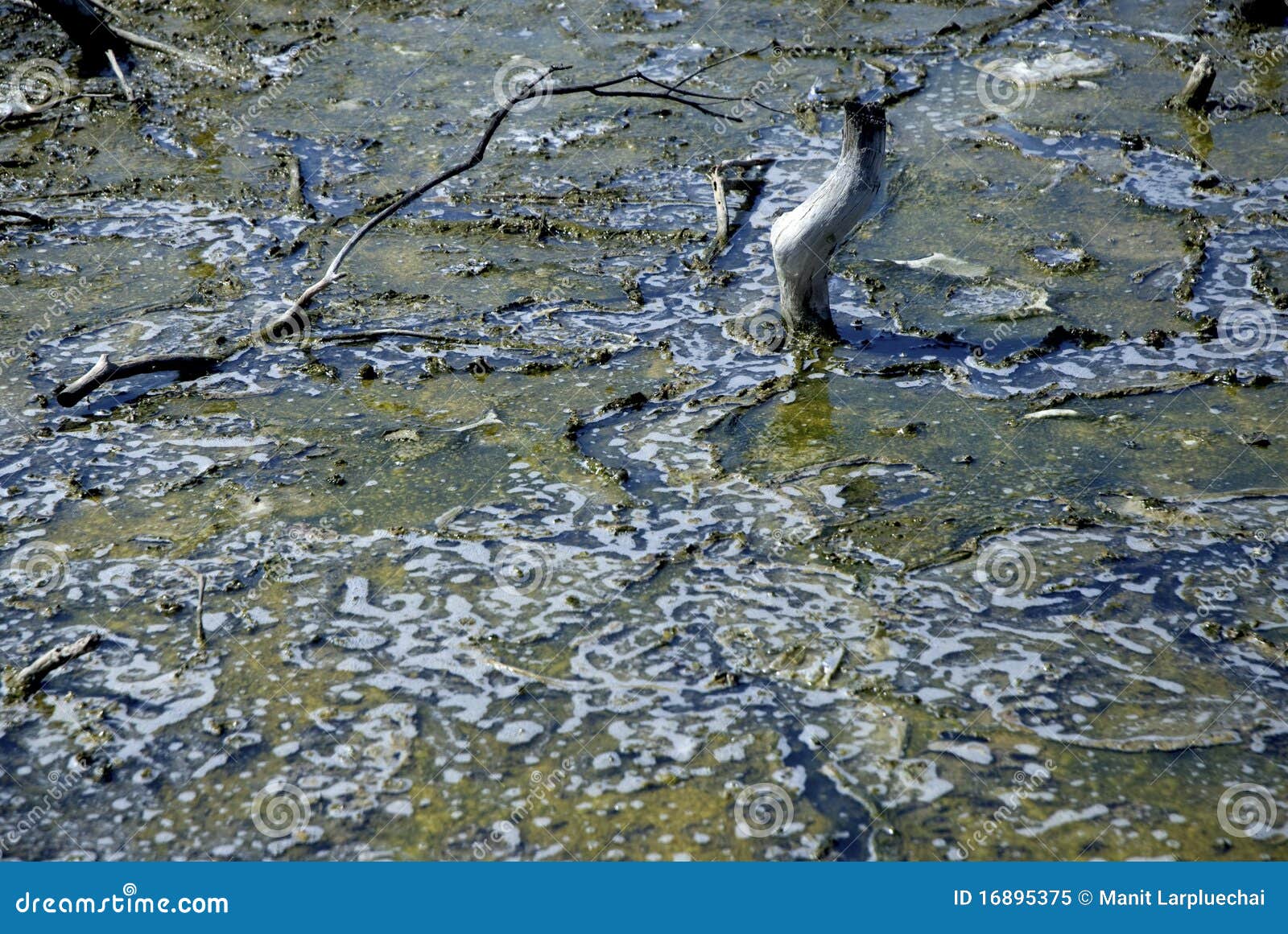 Infected water stock image. Image of devastated, clean 16895375