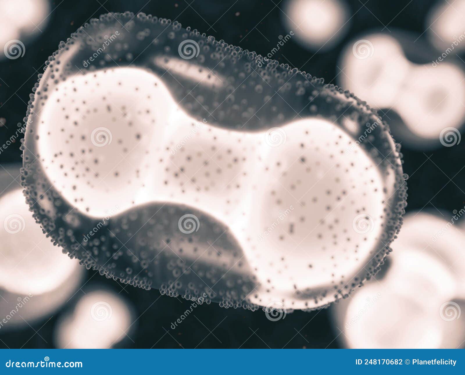 virus close-up: monkeypox