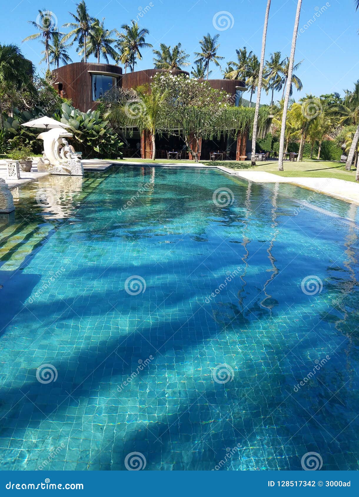 Infinity Pool In Bali, Indonesia Stock Photo - Image of ...