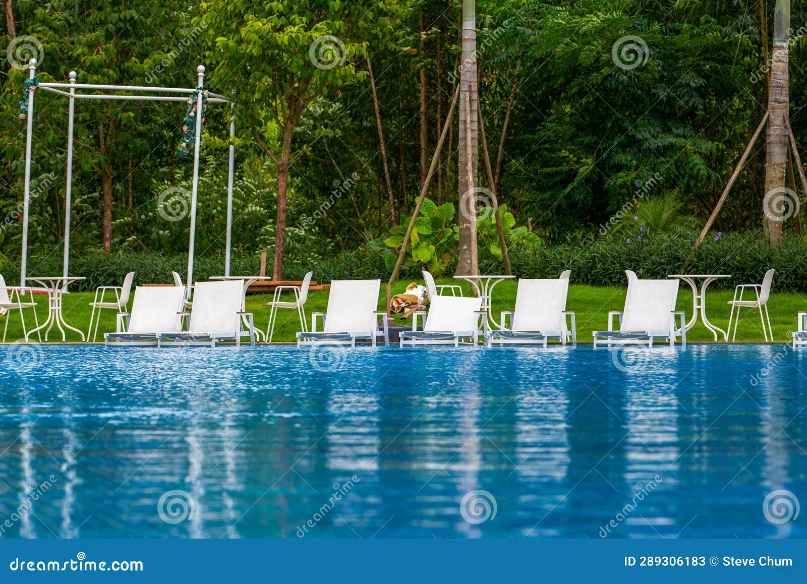 Infinity Pool and Lounge Chairs in a Luxury Hotel Stock Image Image of tree, pool 289306183