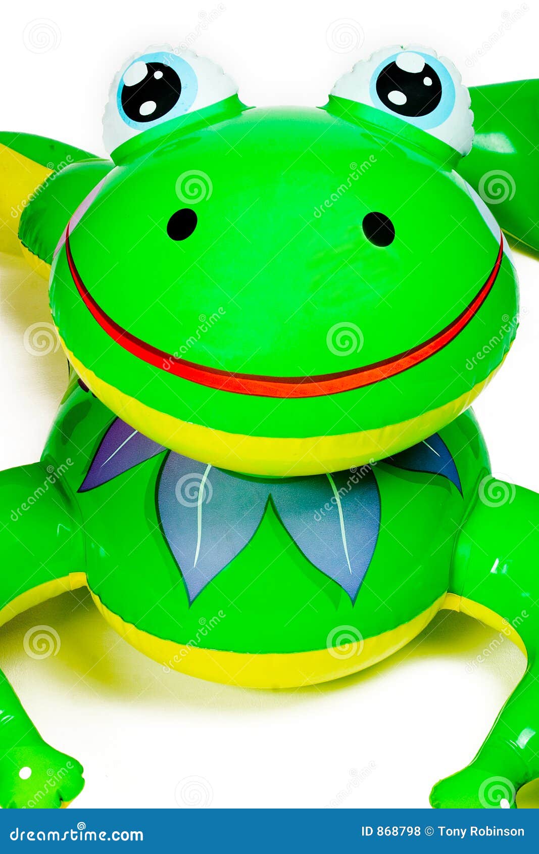 frog inflatable pool