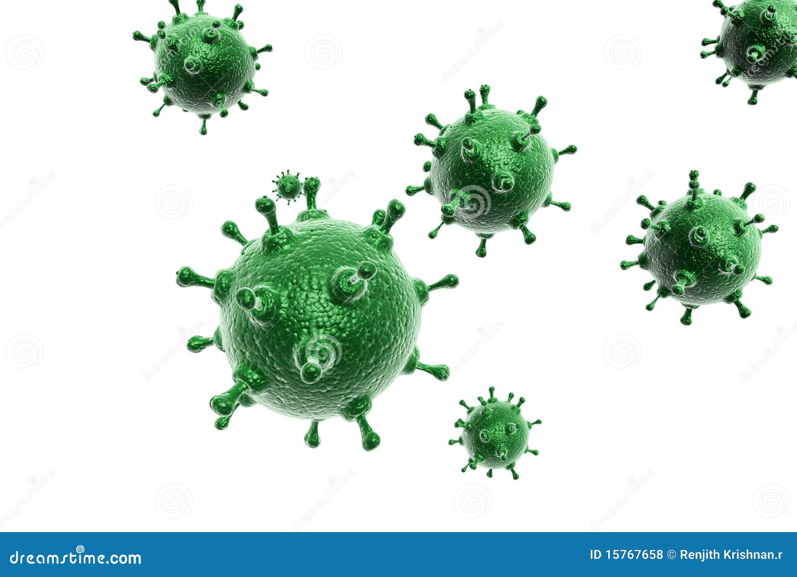 influenza virus