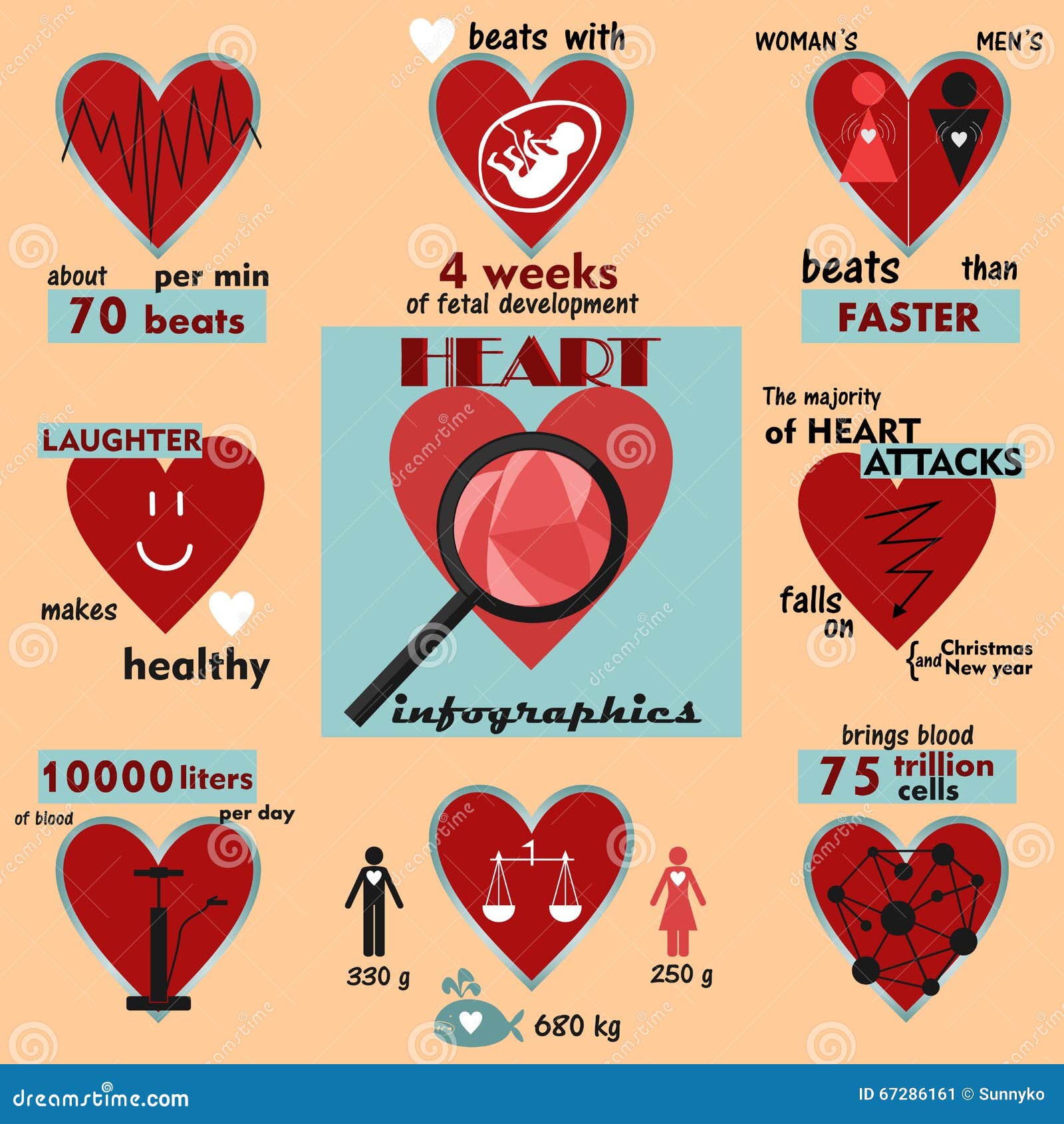 Heart Facts for Kids - Learn Definition, Facts & Examples