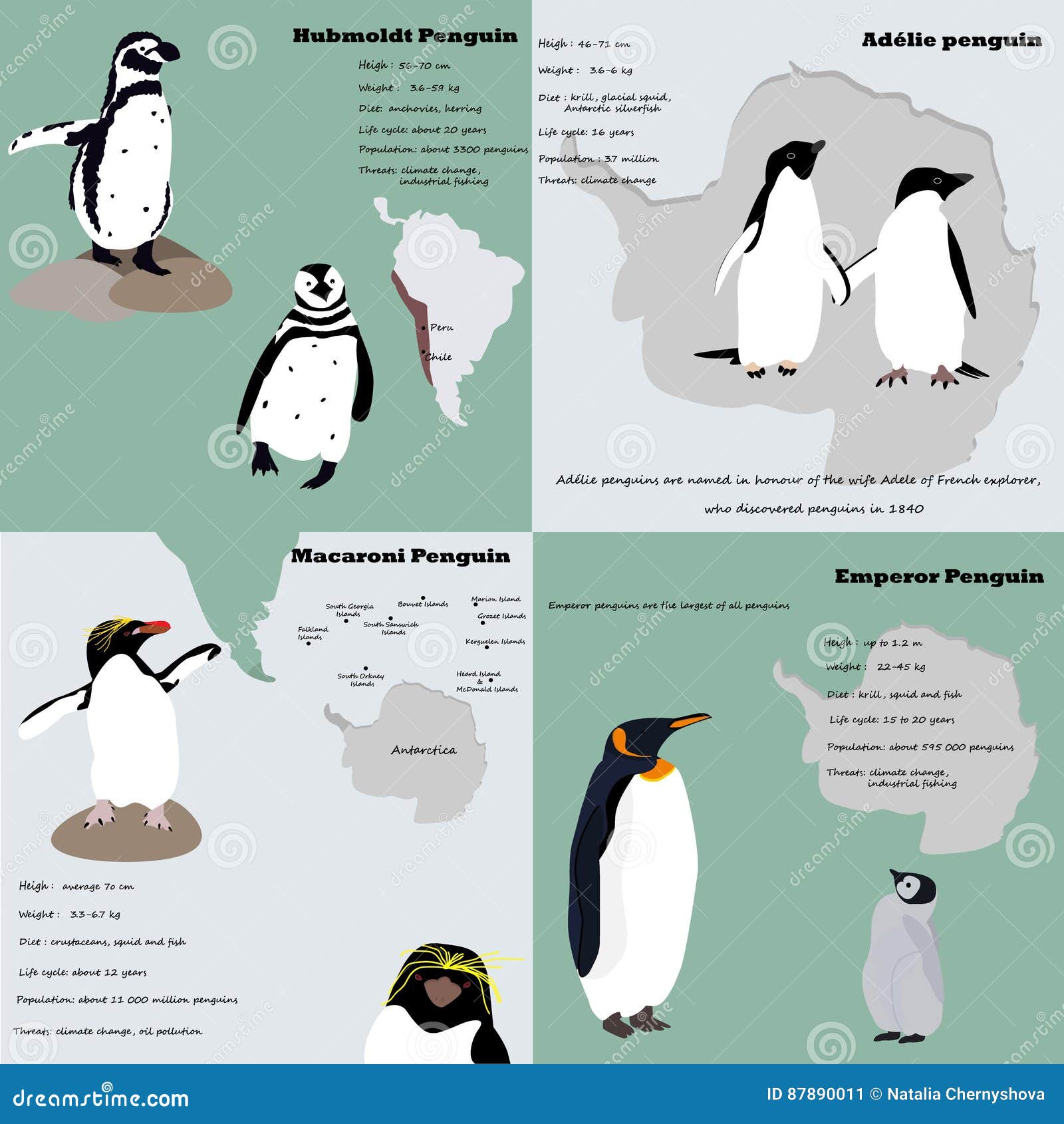 Infographic with Penguins of Different Species. Stock Vector - Illustration of melting, antarctica: 87890011 Infographic with Penguins of Different Species. Stock Vector - Illustration of melting, antarctica: 87890011