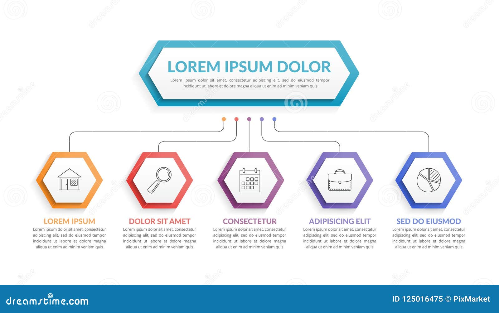 infographic template with 5 steps